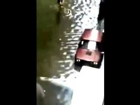 شاب يتنزه على المجاري في الإسكندرية