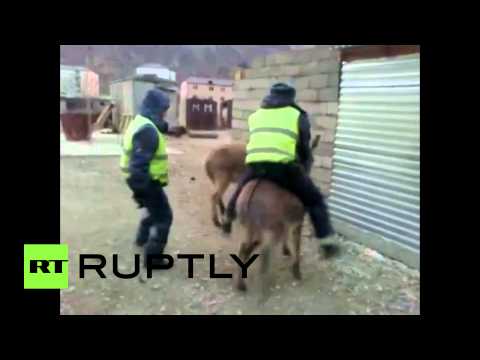 رجل شرطة يضحك مع حمار