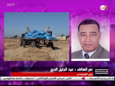 بالفيديو  تـأثير قلة الأمطار وانعكاساتها على إنتاج الحبوب