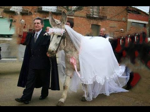 شاهد اشخاص تزوجوا من اشياء لن تصدقها