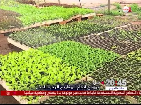 مشروع فلاحي صغير يعيل أكثر من 10 أسر