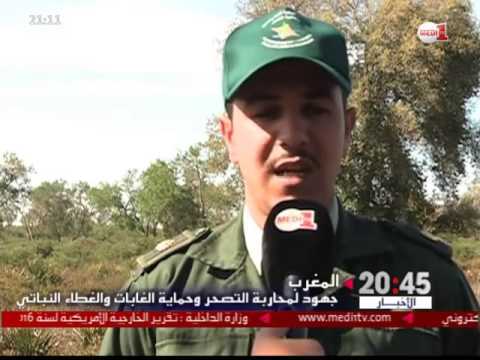 شاهدجهود محاربة التصحر في المغرب