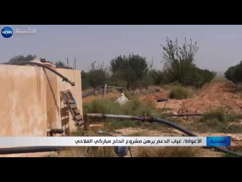 غياب الدعم يرّهن مشروع الحاج مباركي الفلاحي