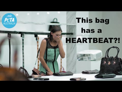 جثة حيوان لا ذنب له