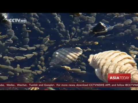 بشرى سارة للمصابين بكل أنواع السرطان