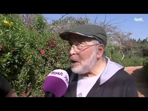 كلمة سر يحدد مصير لطيفة في الدراما والسينما