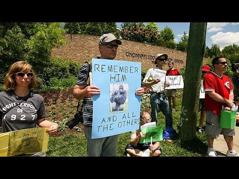 فتح تحقيق في ملابسات قتل الغوريلا هارمبي