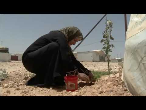 شاهد عجوز تعيش بمفردها في خيمتها