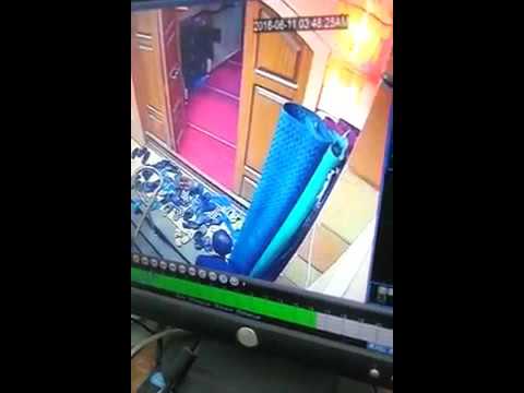 لص يسرق أحذية المصلين من مسجد بالإسكندرية