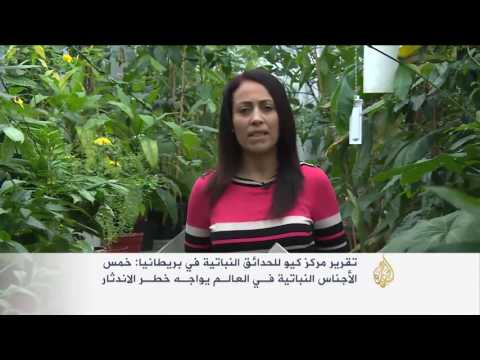 شاهد خمس الأجناس النباتية في العالم معرض للانقراض