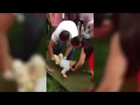 أم تلقي أبنها من الطابق السابع بعد شجار مع زوجها