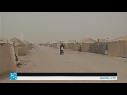 شاهد منظمة الصحة العالمية تحذر من انتشار الأوبئة في الفلوجة