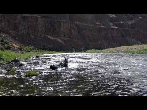 بالفيديو رجل يتعرض لموقف محرج أثناء صيد السمك