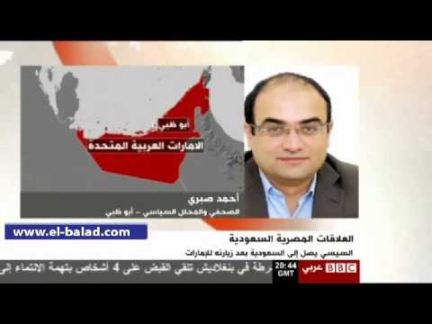 الرئيس السيسي يبحث التعاون في الطاقة المتجددة