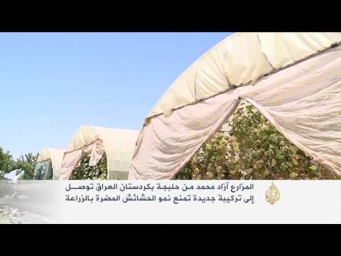 تركيبة تمنع نمو الحشائش المضرة بالزراعة