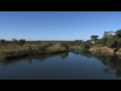 أنغولا تعلن الحرب على الصيد غير الشرعي