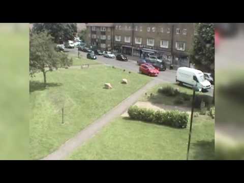 شاهد لحظة سرقة أحد اللصوص لسيارة داخلها فتاة وطفل رضيع