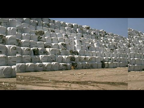 5 ملايين طن من النفايات الإيطالية كانت في طريقها إلى المغرب