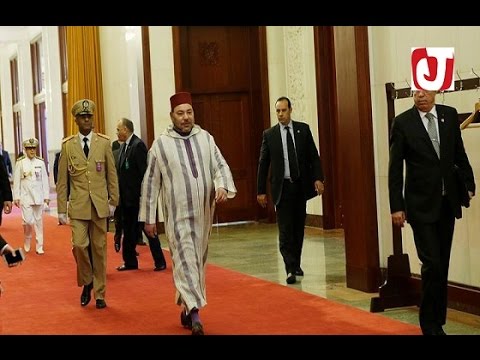 بالفيديو الأفارقة يردون سريعًا على رسالة الملك محمد السادس