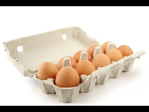 بالفيديو كيف تحافظ على البيض طازجًا وصحيًا لمدة طويلة