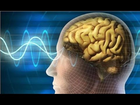 بالفيديو دراسات تؤكّد أن السكر يسبب تلف خلايا الدماغ