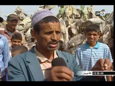 تعرف على حقيقة المرض الذي يصيب فاكهة الهندية