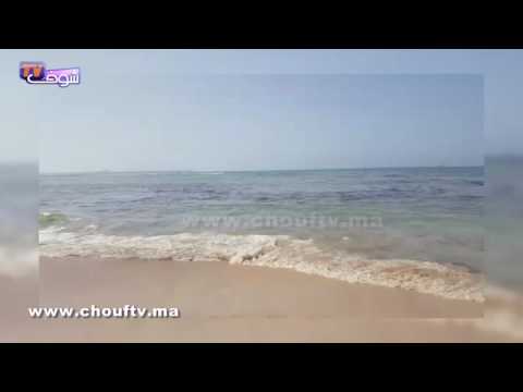 بالفيديو   المادة السوداء التي قام باطو برميها على شواطئ المحمدية