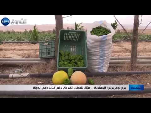 الحمادية مثال للعطاء الفلاحي رغم غياب الدولة