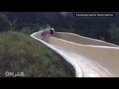 شاهد سقوط شاب أميركي من أفعوانية مائية