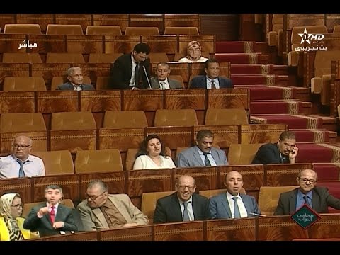 شاهد  نائب يدشن أول مشاركة له في البرلمان 