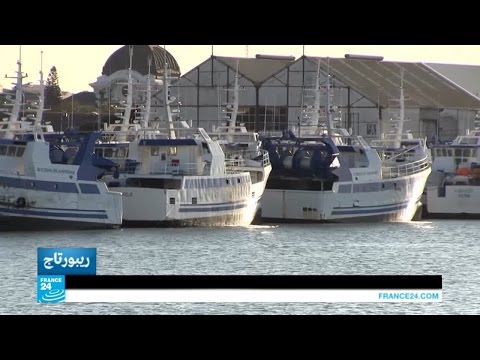 فيديو 24 سفين لاستيراد سمك التونة ترسو في الميناء منذ عام 2013