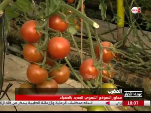 بالفيديو  محاور النموذج التنموي الجديد في الصحراء المغربية