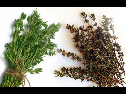 بالفيديو  أعشاب طبيعية لعلاج الالتهابات النسائية