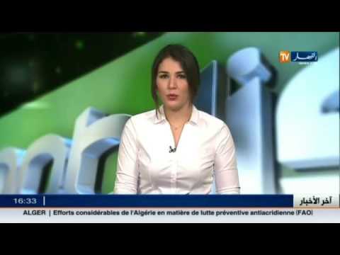 شاهد آخر أخبار الخضر والبطولة الوطنية