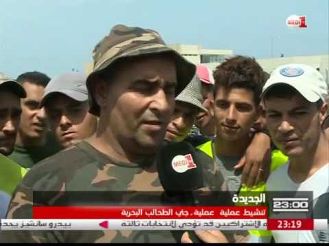 شاهد  تقرير يستعرض  حرفة جني الطحالب البحرية وإشكاليات التقنين