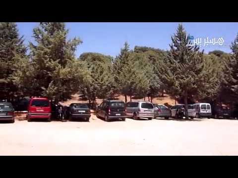 بعض المواطنين يفضلون الغابة عن البحر