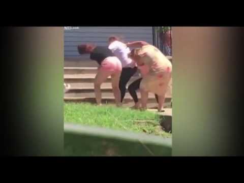 كلاب تشارك في مشاجرة بين سيدات في أميركا الشمالية