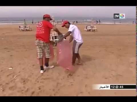 أهم الأخبار البيئية مع الخبيرة نادية ليوبي