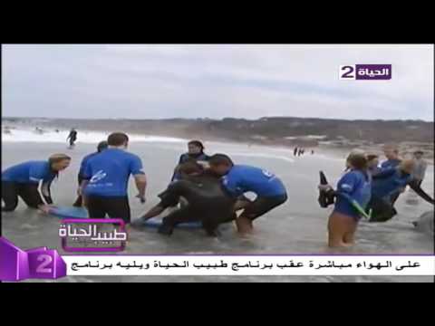 بالفيديو كيف تجاوز طفل 15 عامًا إصابته بكسر في الحوض