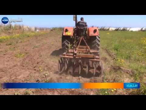 صندوق التعاون الزراعي يؤمِّن على القروض البنكية