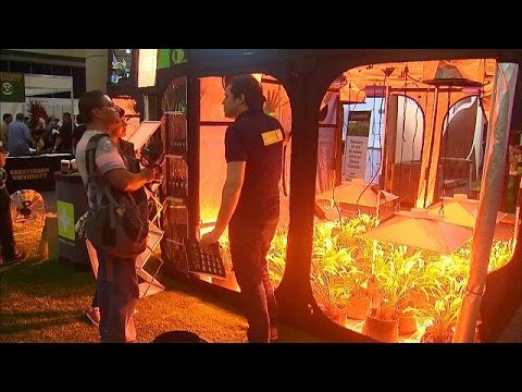 معرض خاص بالقنب الهندي في مكسيكو سيتي