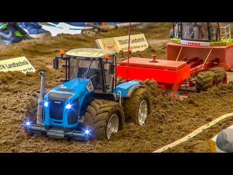 حادث مروع ينتهي بإصابة طفيفة في يد السائق