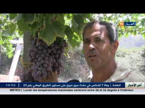 بالفيديو موجز لأهم الأخبار الإقتصادية الجزائرية