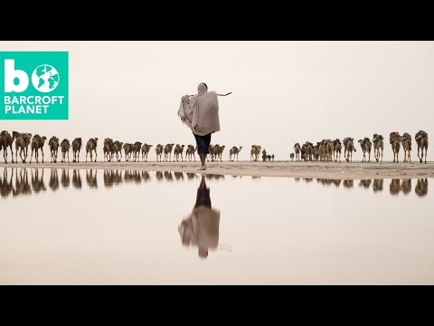 أبطال خارقون يعملون يوميًا في الصحراء