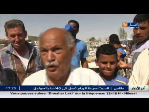 غلاء ورفع الدعم عن الأعلاف يثير سخط الموالين و مربي الماشية