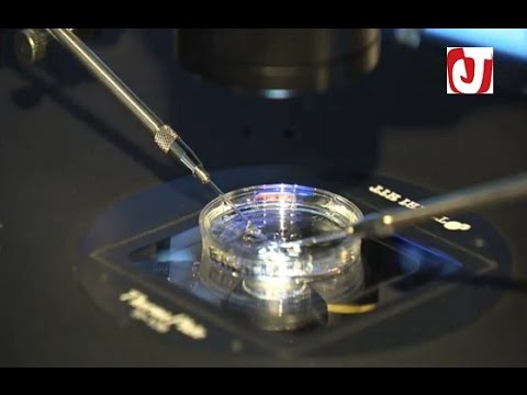 شاهد تقنية التخصيب الاصطناعي لمساعدة الأزواج على الإنجاب في المغرب