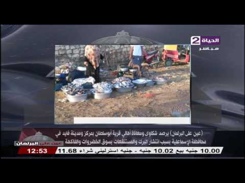 شكاوي ومعاناة أهالى قرية أبو سلطان لإنتشار البرك والمستنقعات في سوق الخضروات