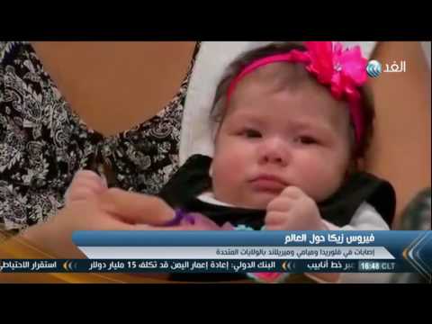 بالفيديو شاهد مراقبون يؤكدون أن فيروس زيكا قد يكون بداية حرب بيولوجية