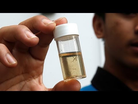 بالفيديو شاهد سنغافورة حين تُواجه زيكا