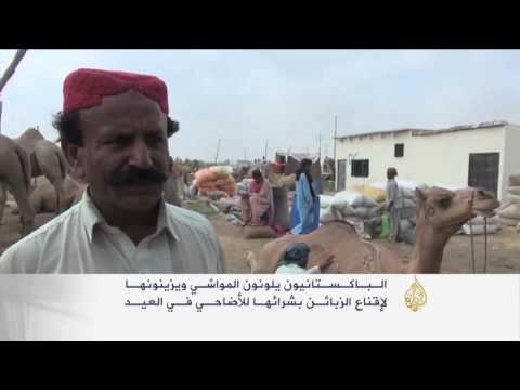 شاهدالباكستانيون يلونون المواشي لجذب الزبائن